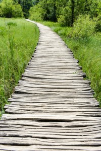 Make an Appointment, Start on Your Path to Wellness