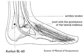 Acupuncture Point, Bladder 60